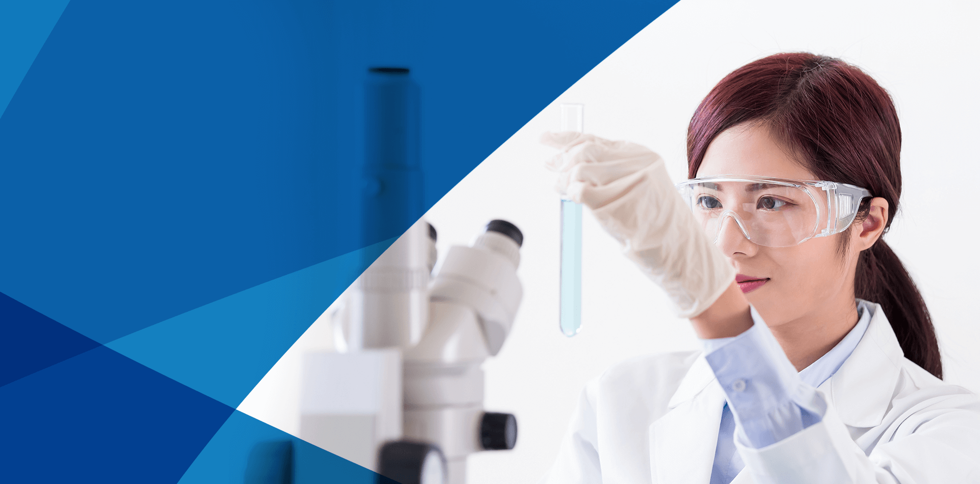 威尼斯app电子游戏